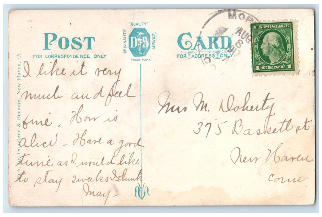 1917 Deer Island And The West Shore Bantam Lake Connecticut CT Posted Postcard