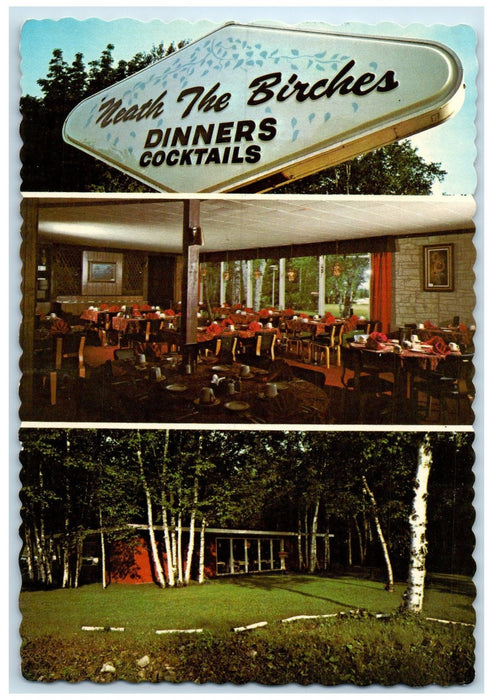 c1960s Neath The Birches Restaurant & Cocktail Lounge Mackinaw City MI Postcard