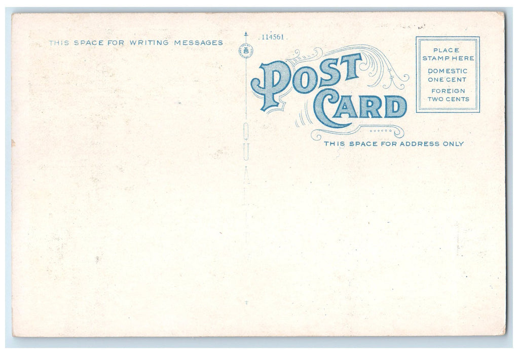 c1920's Burnet Park General View Children Syracuse New York NY Unposted Postcard