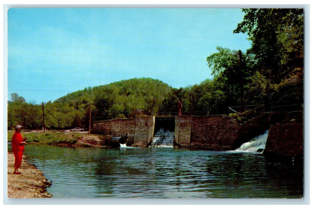 c1960's Twin Falls Roaring River State Park Scene Cassville Missouri MO Postcard