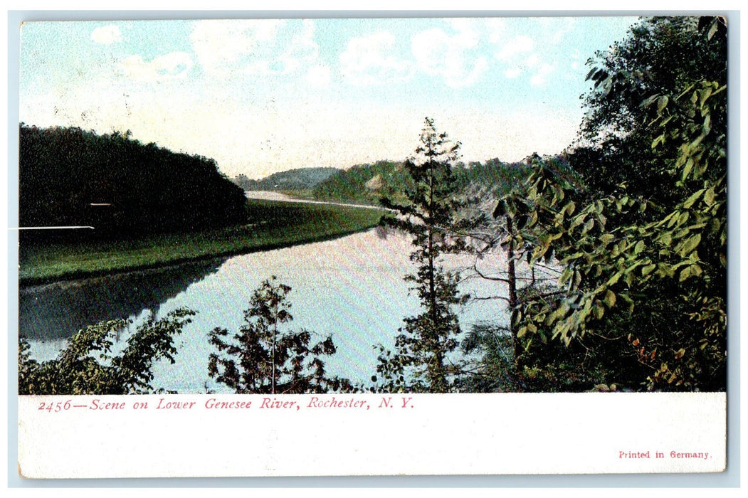 1908 Scene On Lover Genesee River Rochester New York NY Posted Trees Postcard