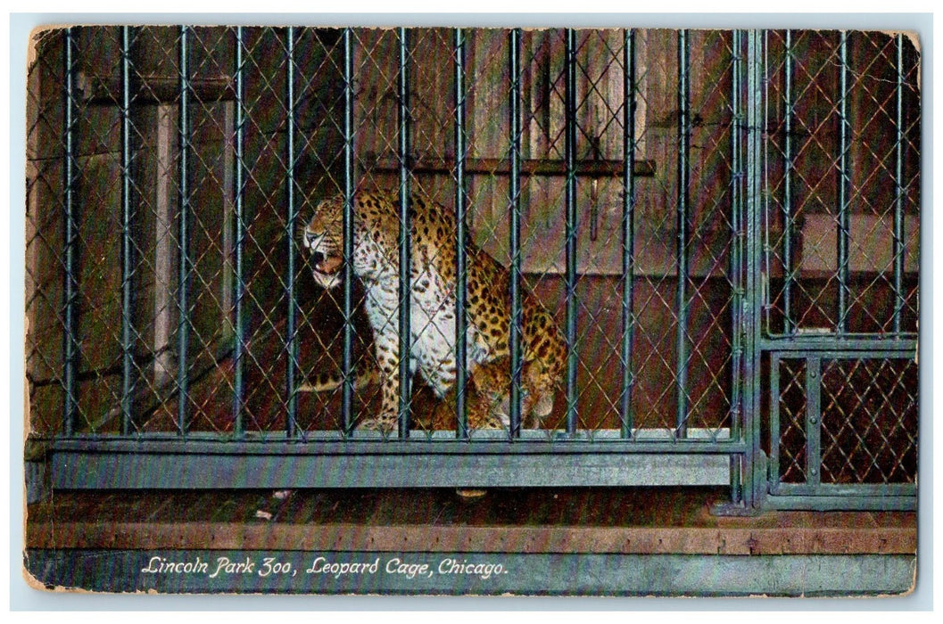 1910 Lincoln Park Zoo Leopard Cage Scene Chicago Illinois IL Posted Postcard