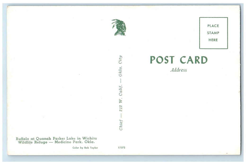 c1950 Buffalo At Quanah Parker Lake Medicine Park Oklahoma OK Unposted Postcard