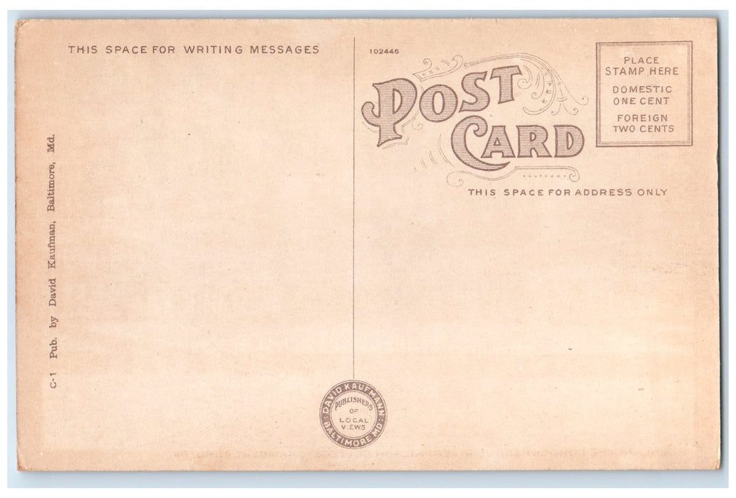 c1920s Conocoheague River Wilson College Chambersburg PA Unposted Trees Postcard