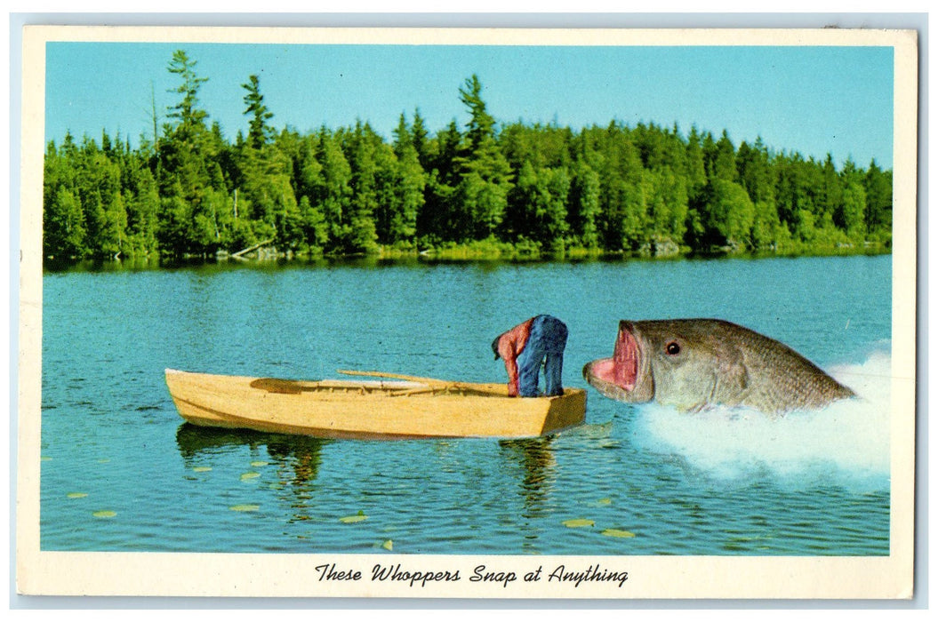 1969 These Whoppers Snap At Anything Bull Shoals AR Exaggerated Fish Postcard