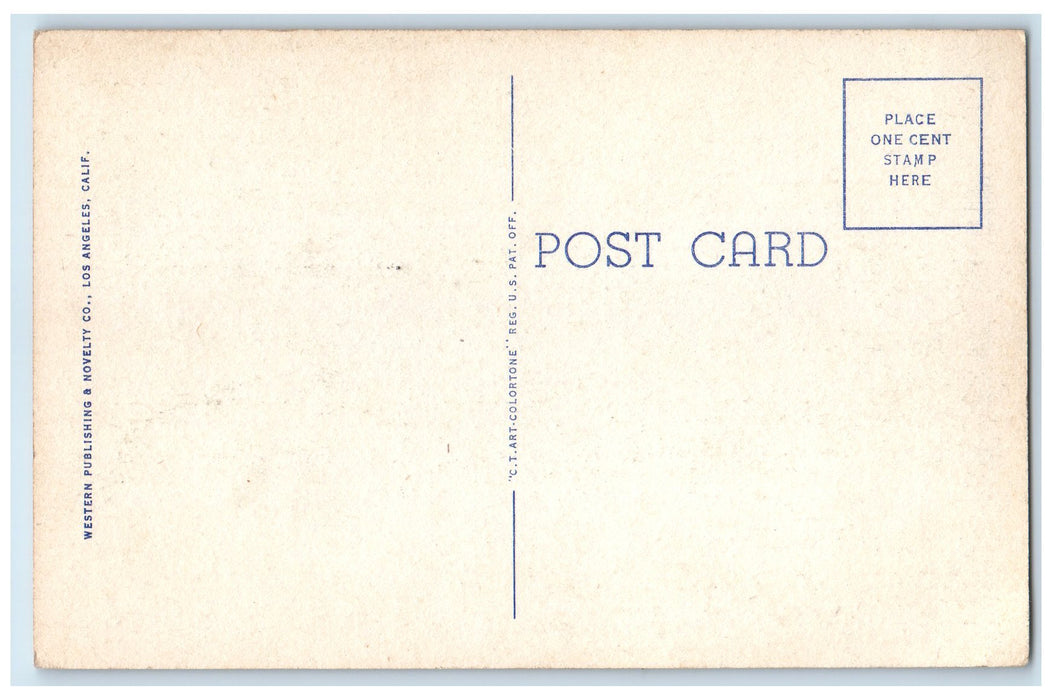 c1940 The Isthmus Boating Bathing Tourists Santa Catalina California CA Postcard