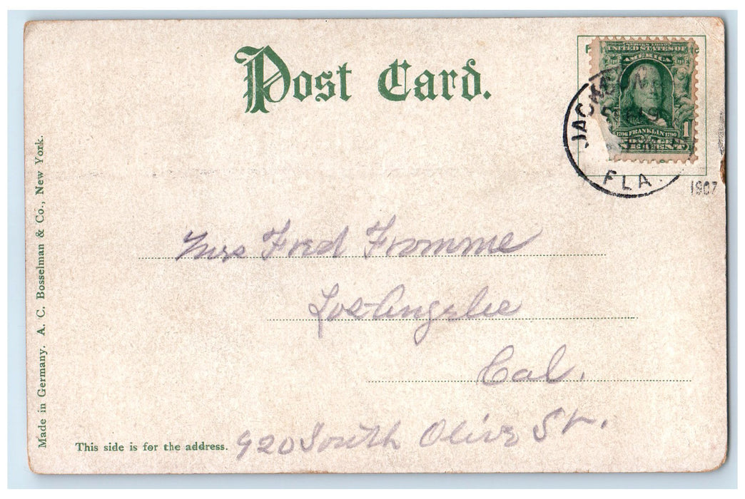 c1905's Steamship View On The St. Johns River Florida FL Unposted Trees Postcard