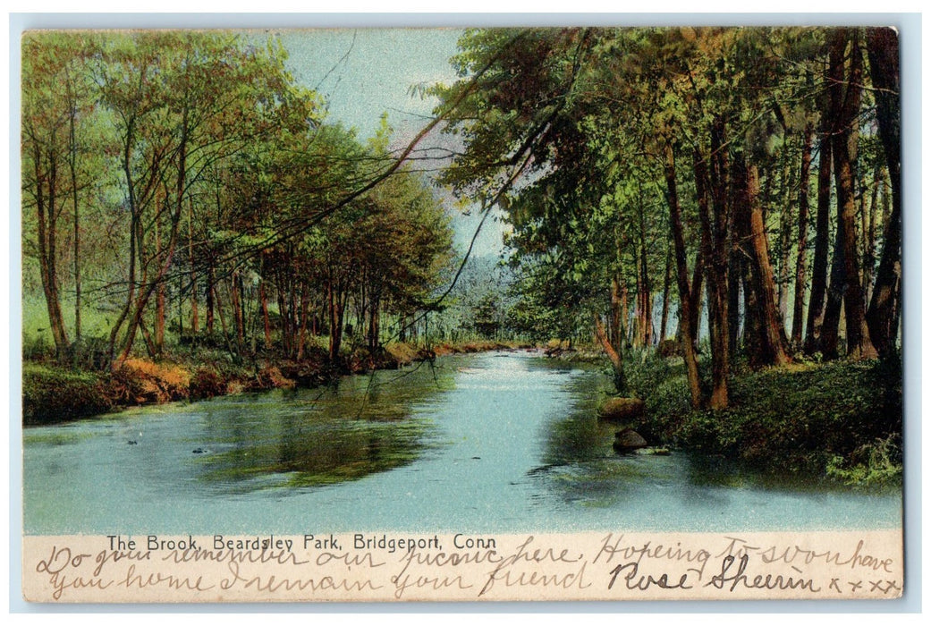 1906 The Brook Beardsley Park River Grove Bridgeport Connecticut CT Postcard
