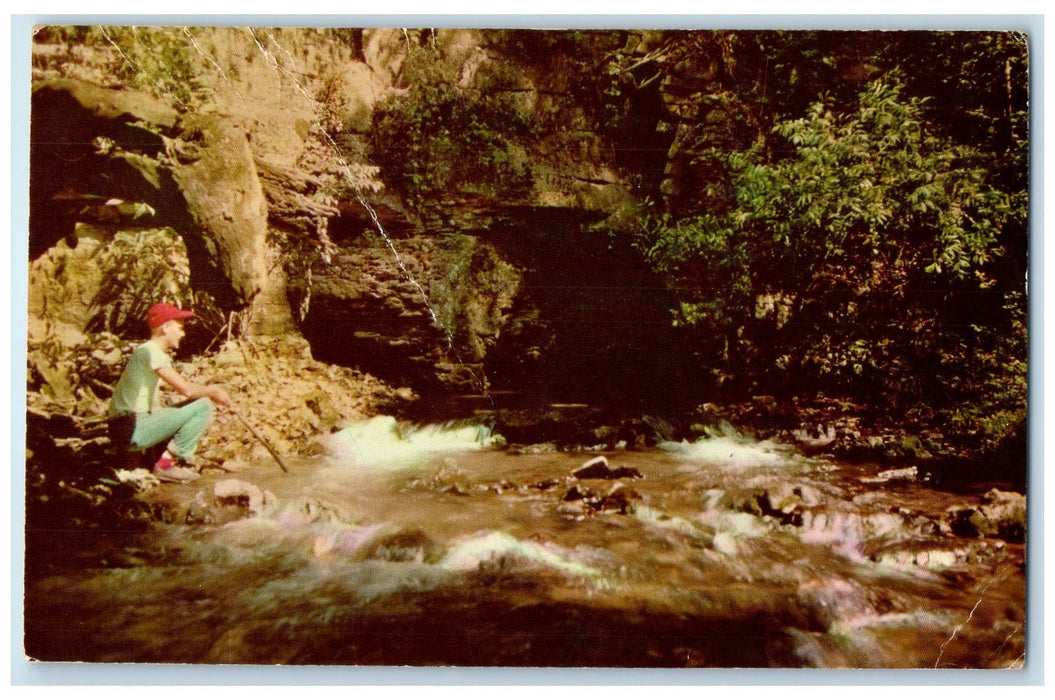 c1960s Niagara Springs Niagara Cave Harmony Minnesota MN Unposted Rocks Postcard