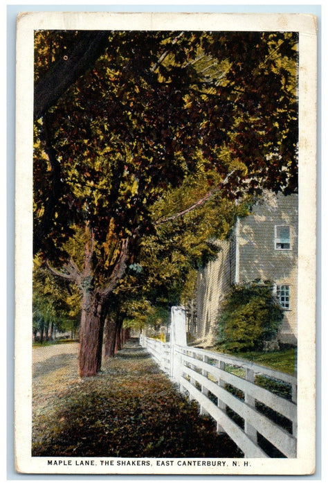c1920's Maple Lane The Shakers Fence East Canterbury New Hampshire NH Postcard