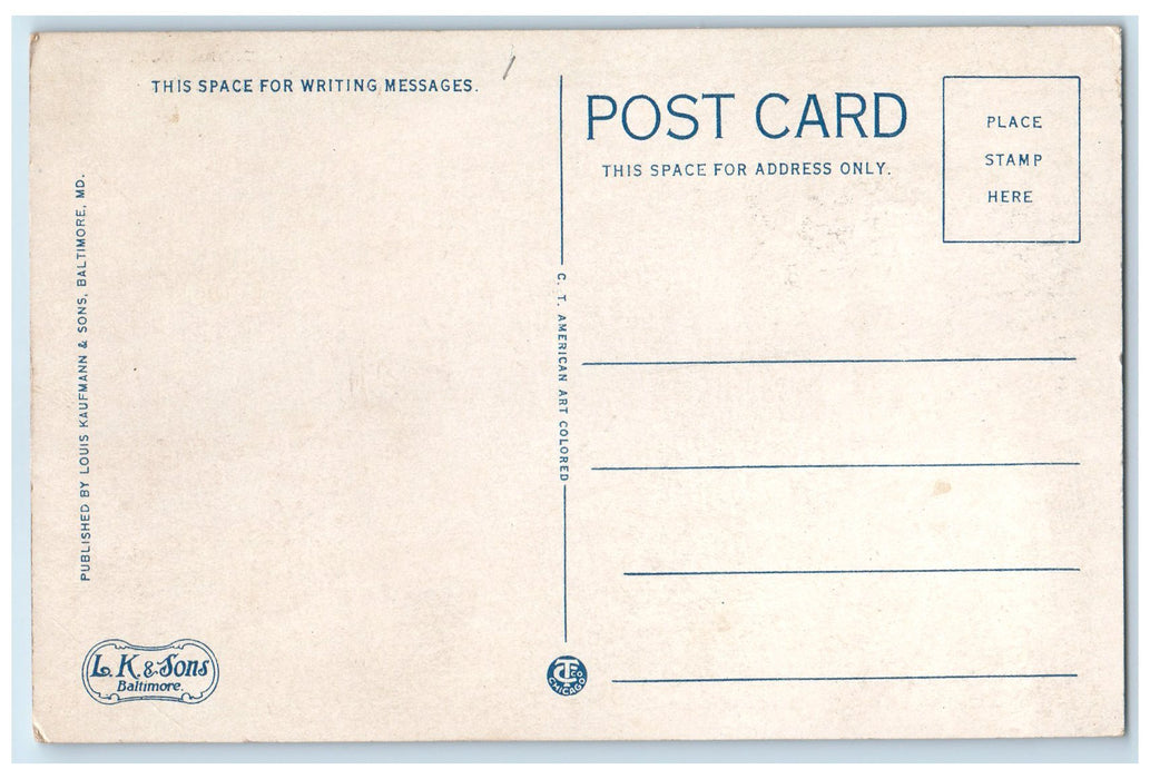 c1940's View Of Business Section Stonewall Jackson Hotel Staunton VA Postcard