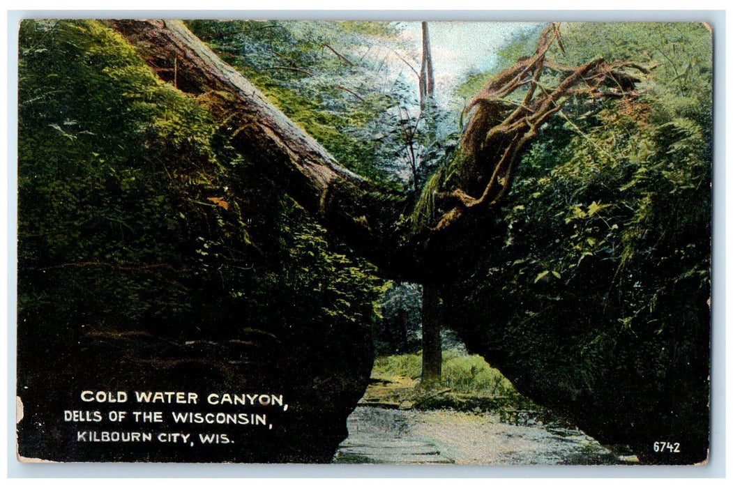 c1910s Cold Water Canyon Scene Dells Of The Wisconsin Kilbourn City WI Postcard