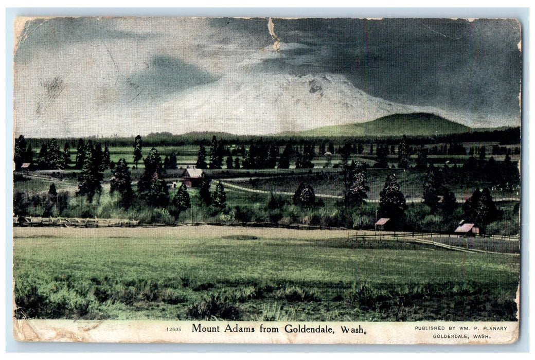 1908 Mount Adams Scene From Goldendale Washington WA Posted Vintage Postcard