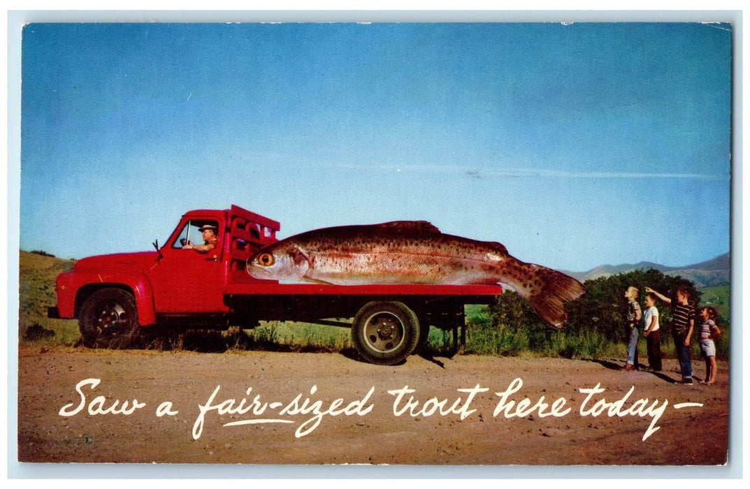 1964 Fair Sized Trout In Car Crescent City CA Posted Exaggerated Fish Postcard
