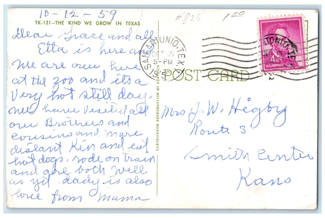 1945 The Kind We Grow In San Antonio TE Posted Exaggerated Watermelon Postcard