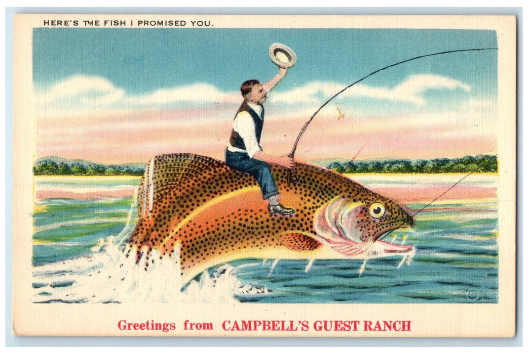 c1940s Greetings From Campbell's Guest Ranch Almont CO Exaggerated Fish Postcard