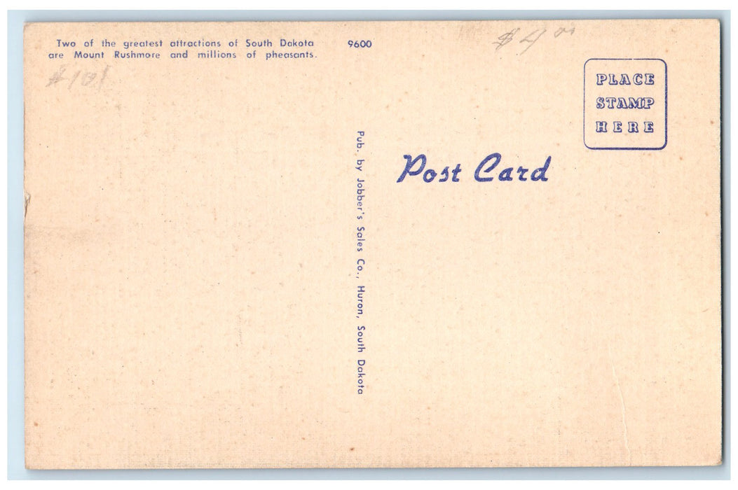 c1940's Rushmore And Pheasant Keystone South Dakota SD Exaggerated Bird Postcard