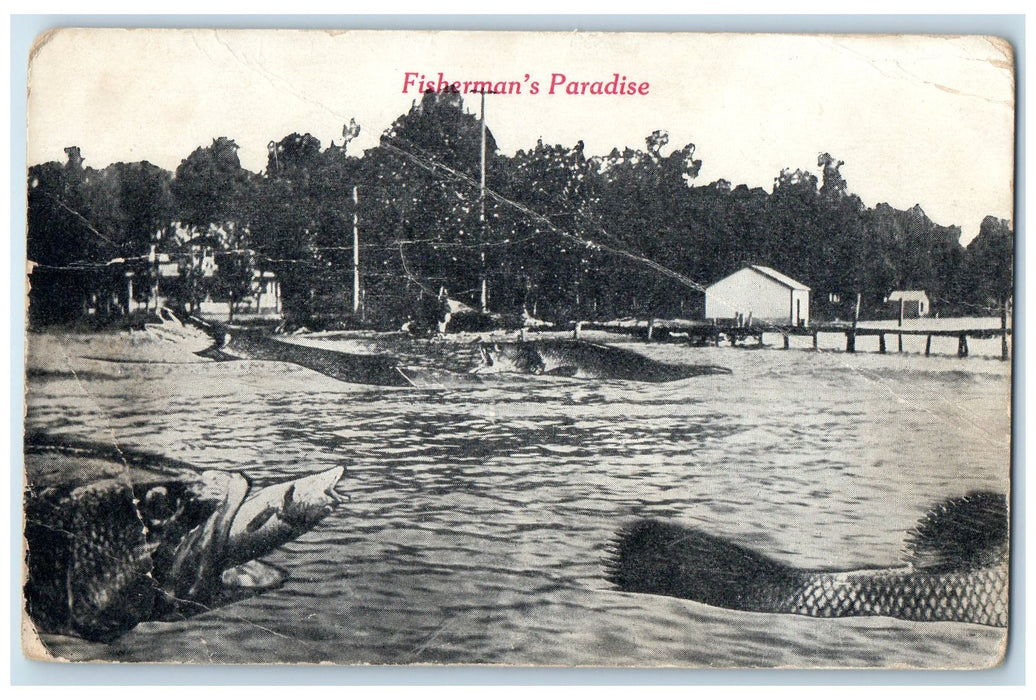 1917 Fisherman's Paradise Exaggerated Fish Swimming Violet Nebraska NE Postcard