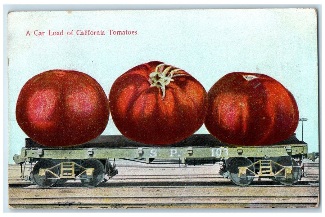 1915 Car Load Of California Exaggerated Tomatoes Expo San Francisco CA Postcard