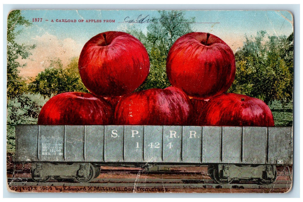 1910 A Carload Of Apples Exaggerated Fruits View From Caldwell Idaho ID Postcard