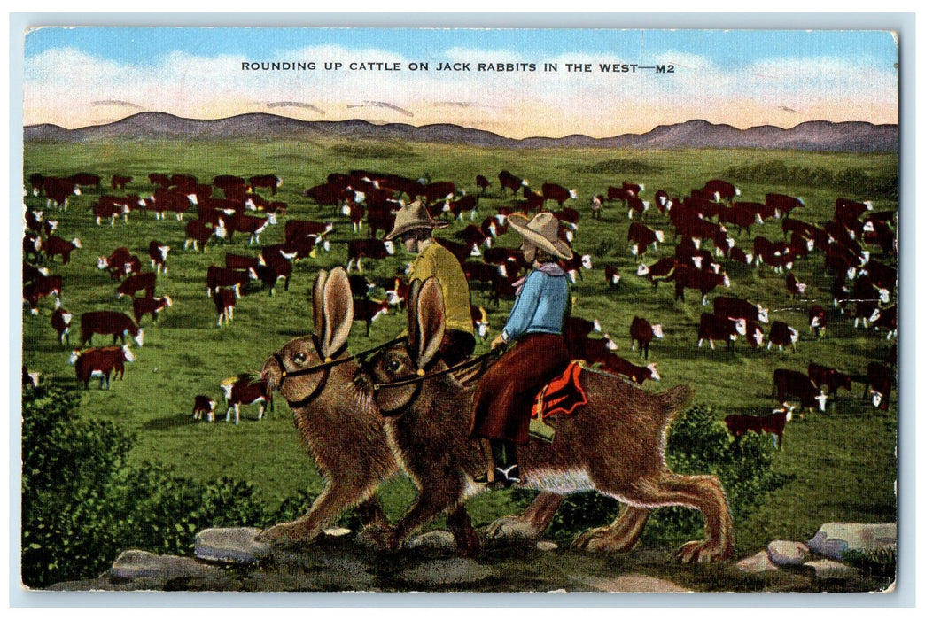 1953 Rounding Up Cattle View On Jack Rabbits Hays KS Exaggerated Rabbit Postcard
