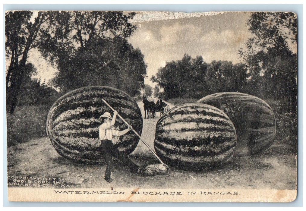 1911 Exaggerated Watermelon Scene Blockade In Kingman Kansas KS Farmer Postcard