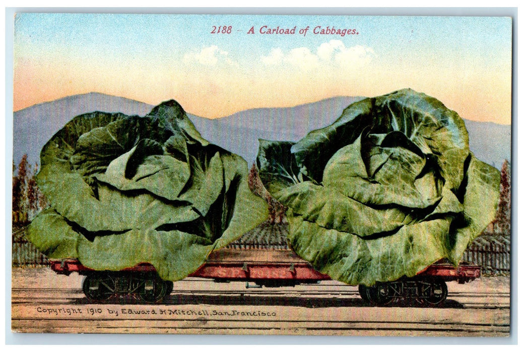 c1910's A Carload Of Exaggerated Cabbages Scene San Francisco CA Posted Postcard