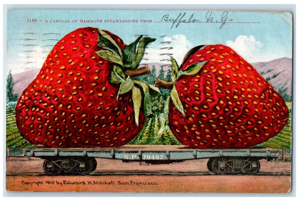 1911 A Carload Of Mammoth Exaggerated Strawberry From Buffalo NY Posted Postcard