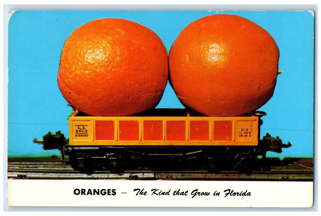 1959 Oranges The Kind  Grows In Florida Lakeland FL Exaggerated Oranges Postcard