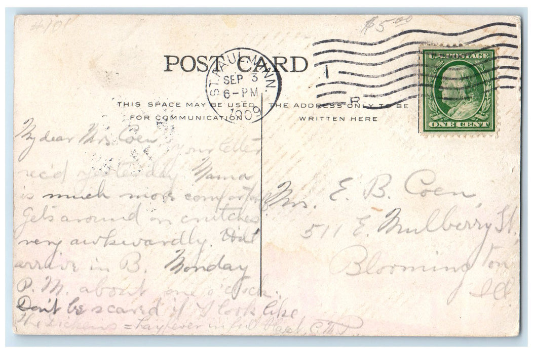 1909 Gates Ajar Como Park Flowers St. Paul Minnesota MN Posted Vintage Postcard