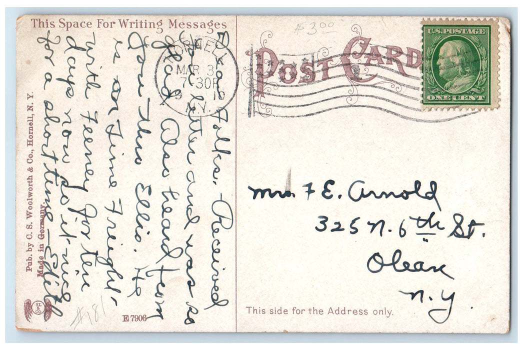 c1910 St. James Mercy Hospital Building Ground Tree Hornell New York NY Postcard