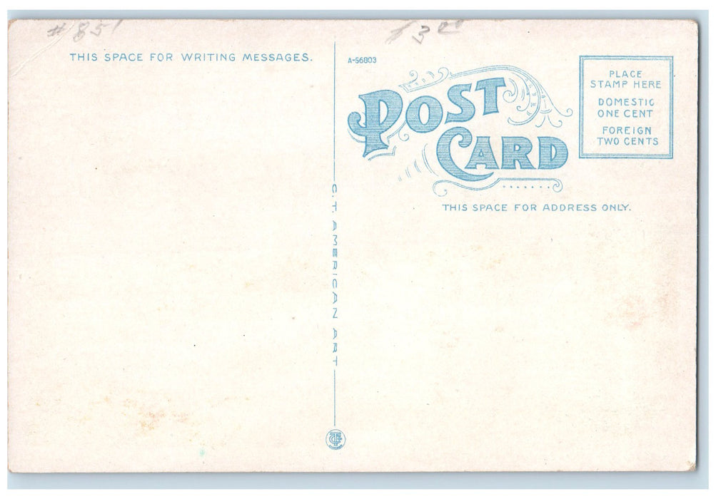 c1920's Nebraska State Hospital Building Dirt Road Hastings Nebraska NE Postcard