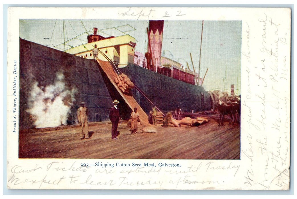 1906 Shipping Cotton Seed Meal Workers Loading On The Ship Galveston TX Postcard