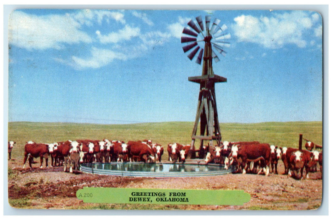 1954 Greetings From Dewey Oklahoma OK Cows Drinking And Water Windmill Postcard