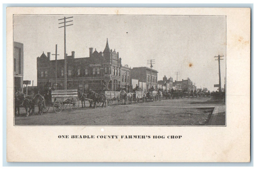 c1905's One Beadle County Farmer's Hog Crop Horse Wagon South Dakota SD Postcard