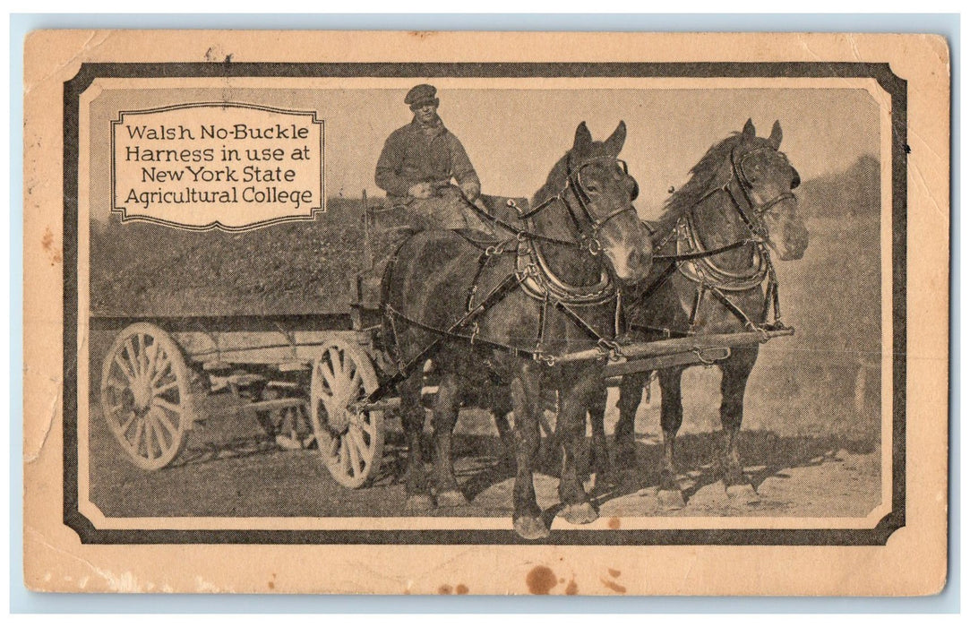 1928 Walsh No Buckle Harness In Use New York State Agricultural College Postcard