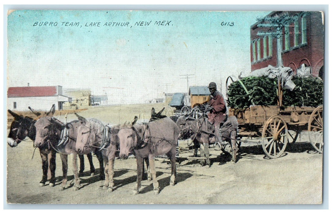 c1950's Burro Team Man With Donkeys Wagon Lake Arthur New Mexico NM Postcard