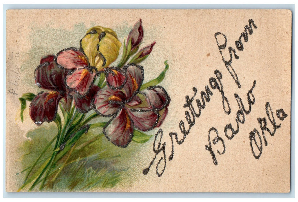 c1910s Greetings From Bado Oklahoma OK Posted Embossed Flowers & Leaves Postcard