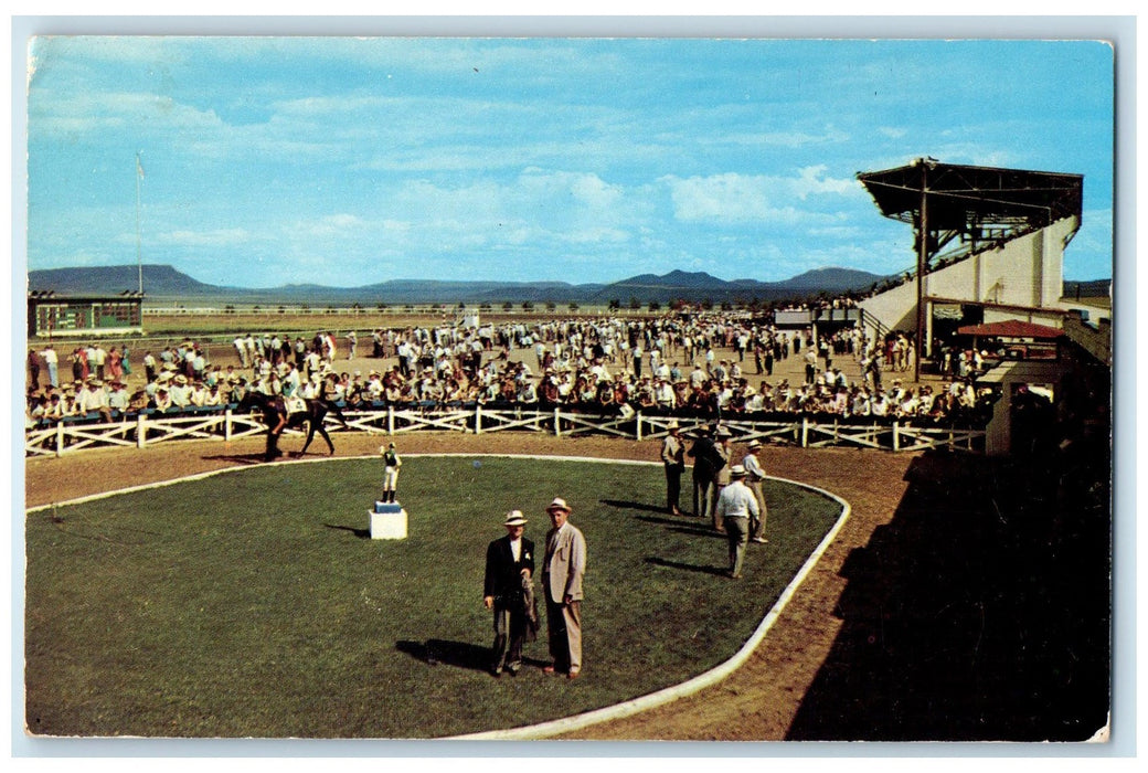 c1950's La Mesa Park Horse Racing Crowd Grandstand Raton New Mexico NM Postcard