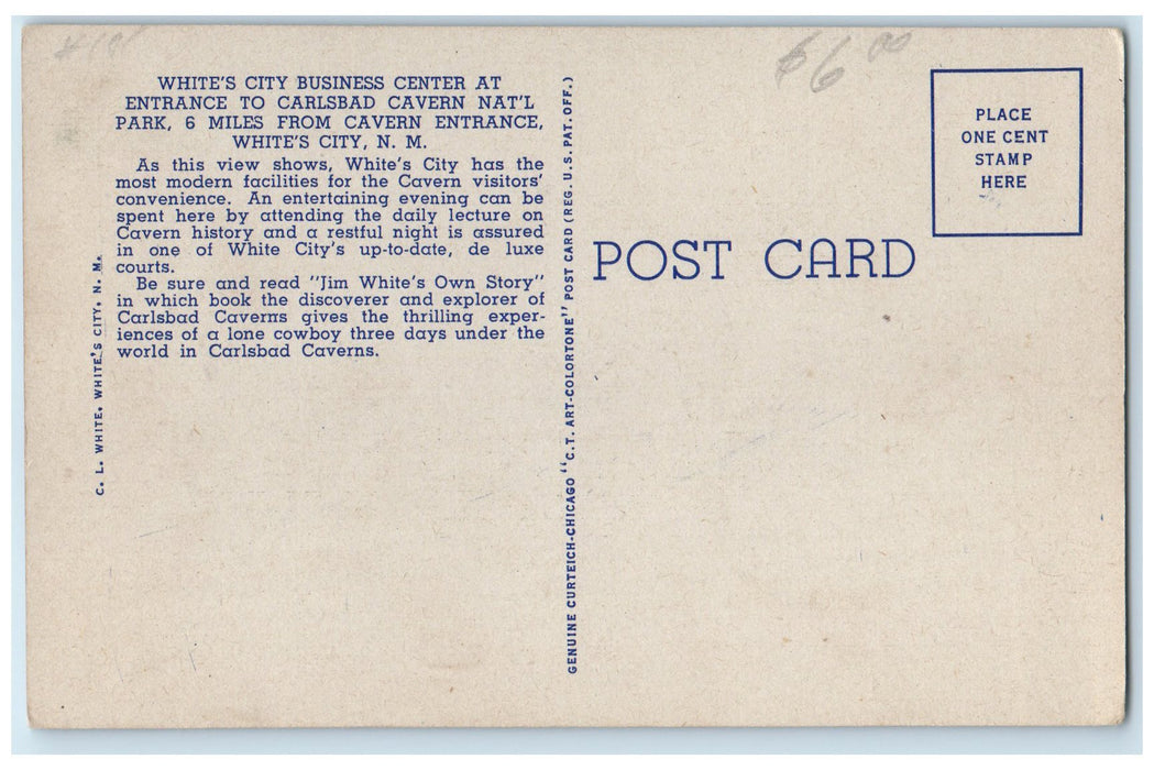 c1940's White's City Business Center At Entrance To Carlsbad Cavern NM Postcard