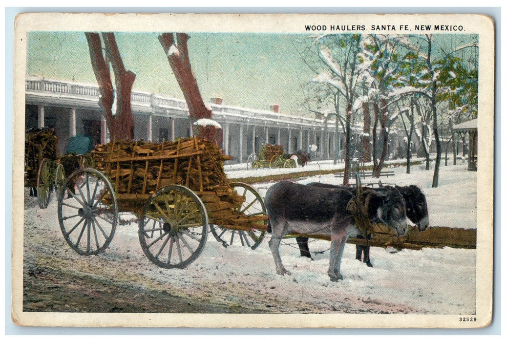 c1920's Wood Haulers Small Donkeys Market Winter Santa Fe New Mexico NM Postcard