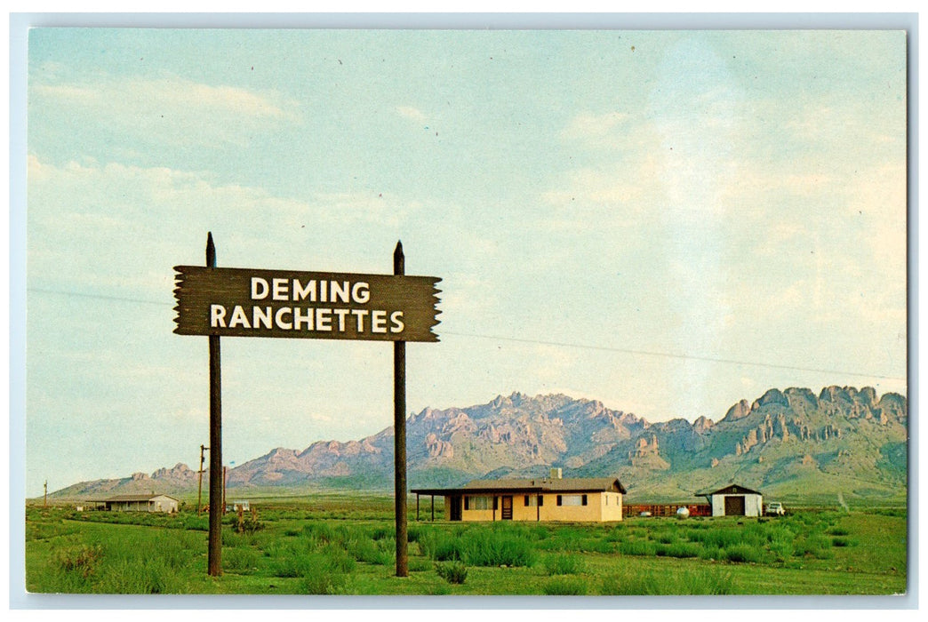 c1950's New Homes In Lovely Deming Ranchettes View Deming New Mexico NM Postcard