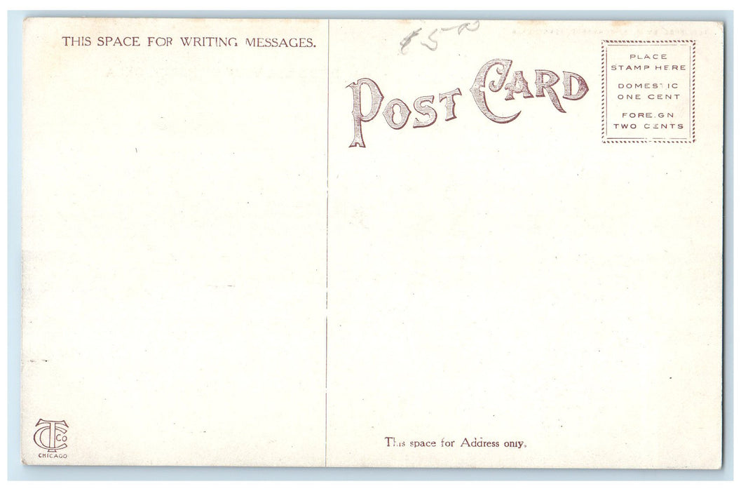 c1920's Bird's Eye View Of Perry Houses Oklahoma OK Unposted Vintage Postcard