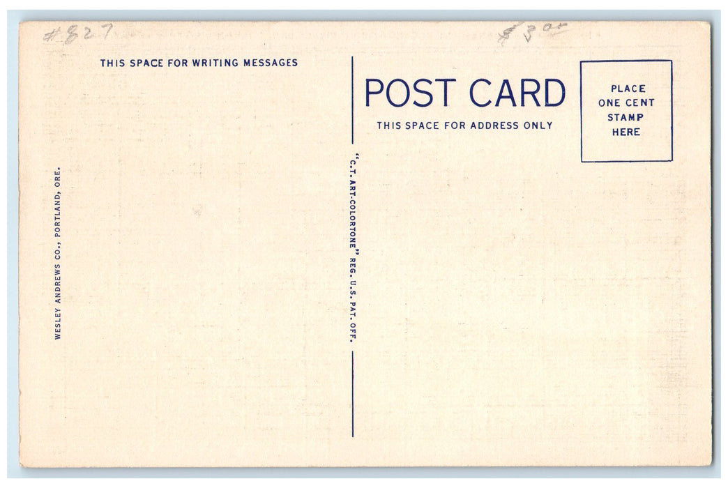 c1940's The Lake Bonneville Docked Dam Columbia River Highway Oregon OR Postcard
