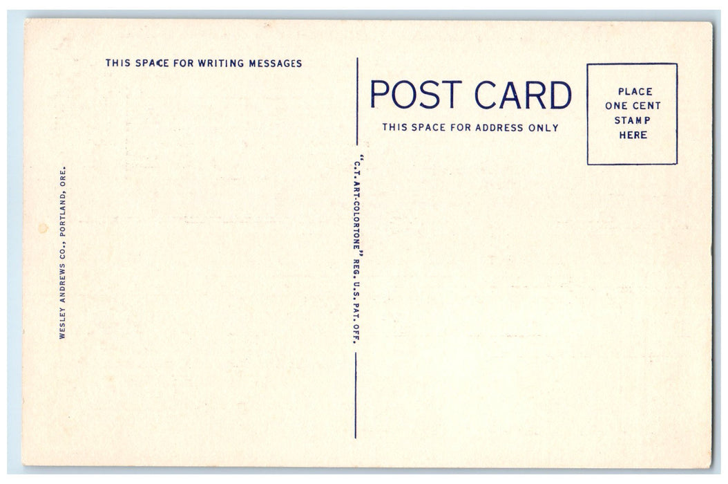 c1940's Lake Bonneville Docked Passenger Ship Columbia River Highway OR Postcard