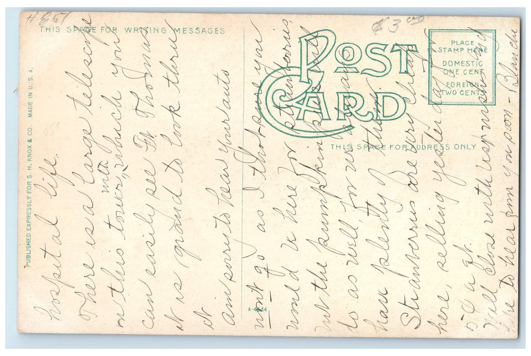 c1910 Eden Park Water Tower Tower US Flag Cincinnati Ohio OH Unposted Postcard