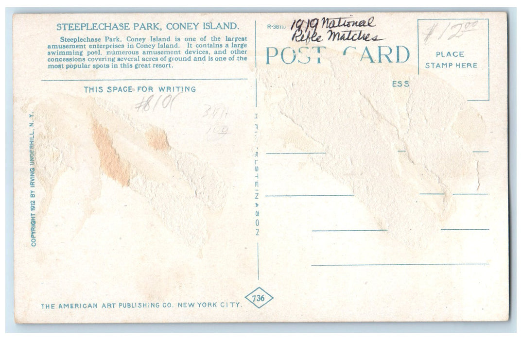 c1920s Steeplechase Swimming Pool Coney Island New York NY Ferris Wheel Postcard