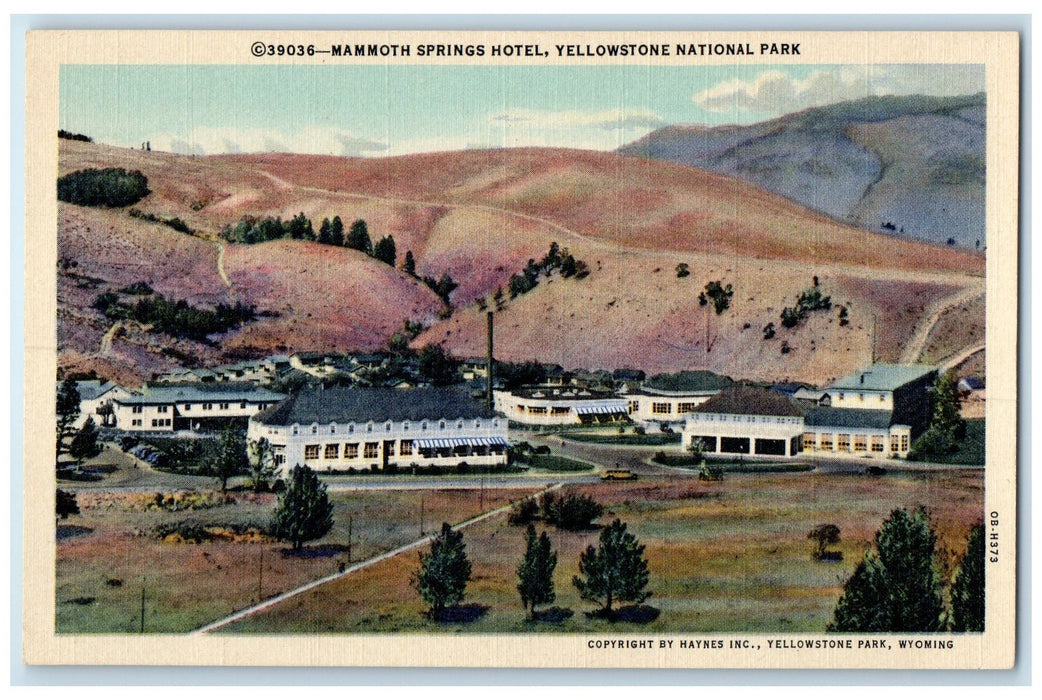 c1940s Mammoth Springs Hotel Yellowstone National Park Wyoming WY Trees Postcard