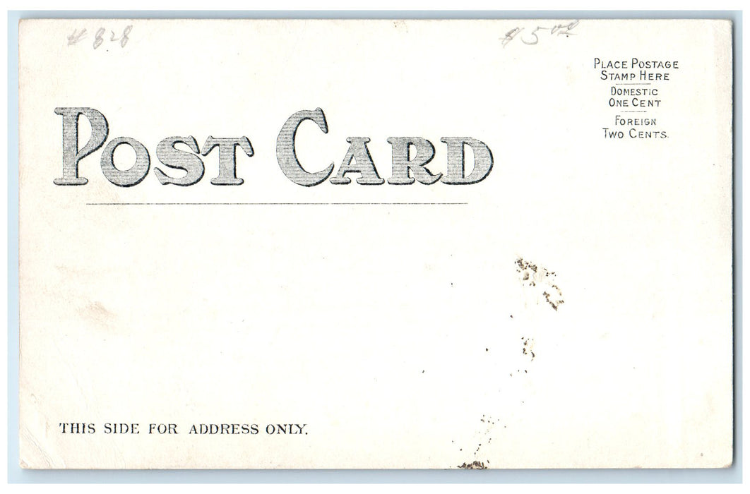 c1905's From New York To The North Pole Amusement Park Coney Island NY Postcard