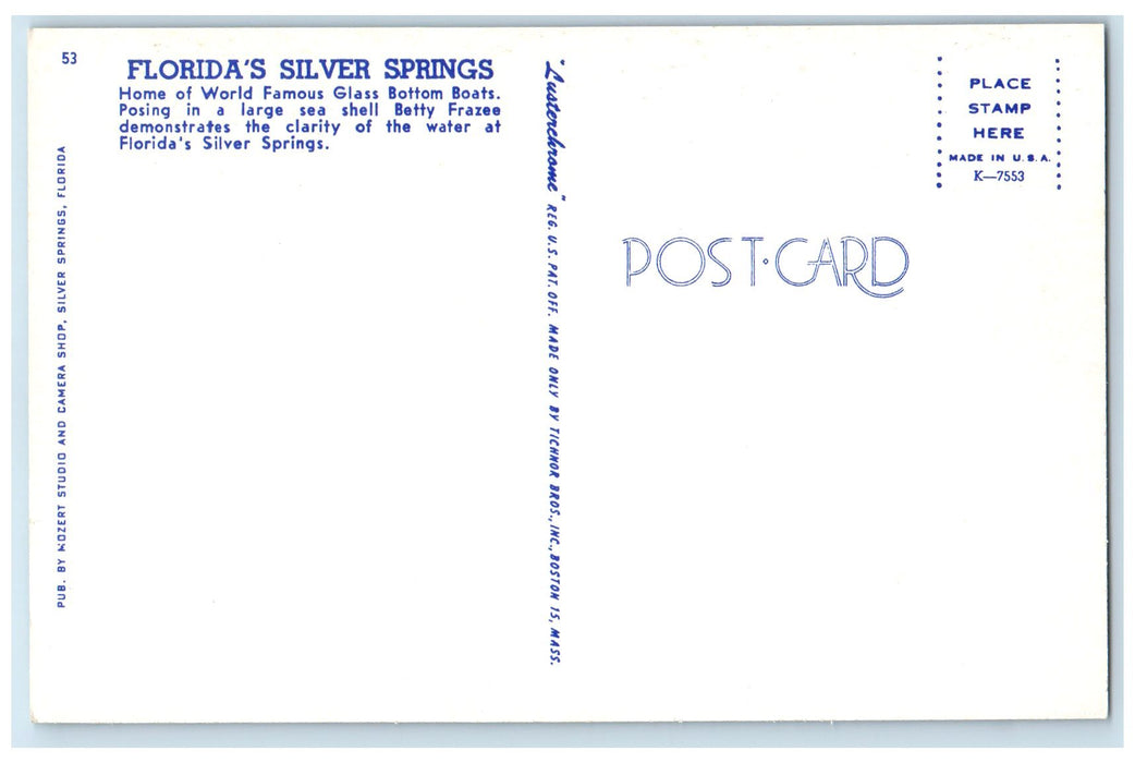 c1960's Mermaid Underwater Weeki Wachee Florida's Silver Springs Postcard